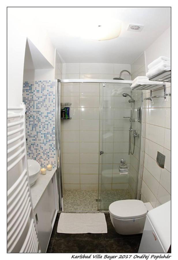 Apartman Vila Bayer Karlovy Vary Exterior photo