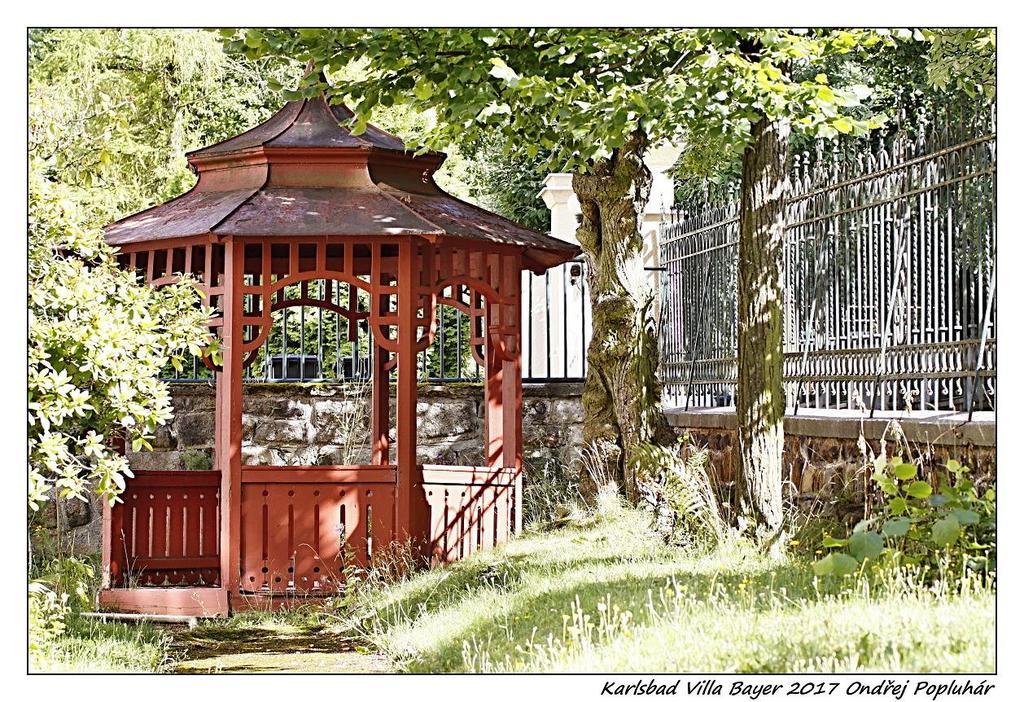 Apartman Vila Bayer Karlovy Vary Exterior photo